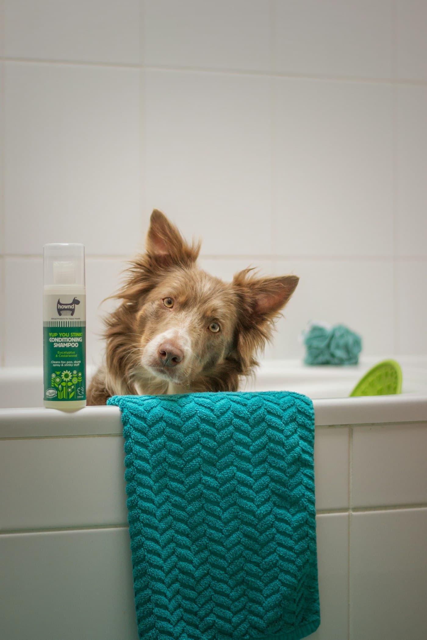 A dog sitting in a bathtub next to a towel and shampoo
