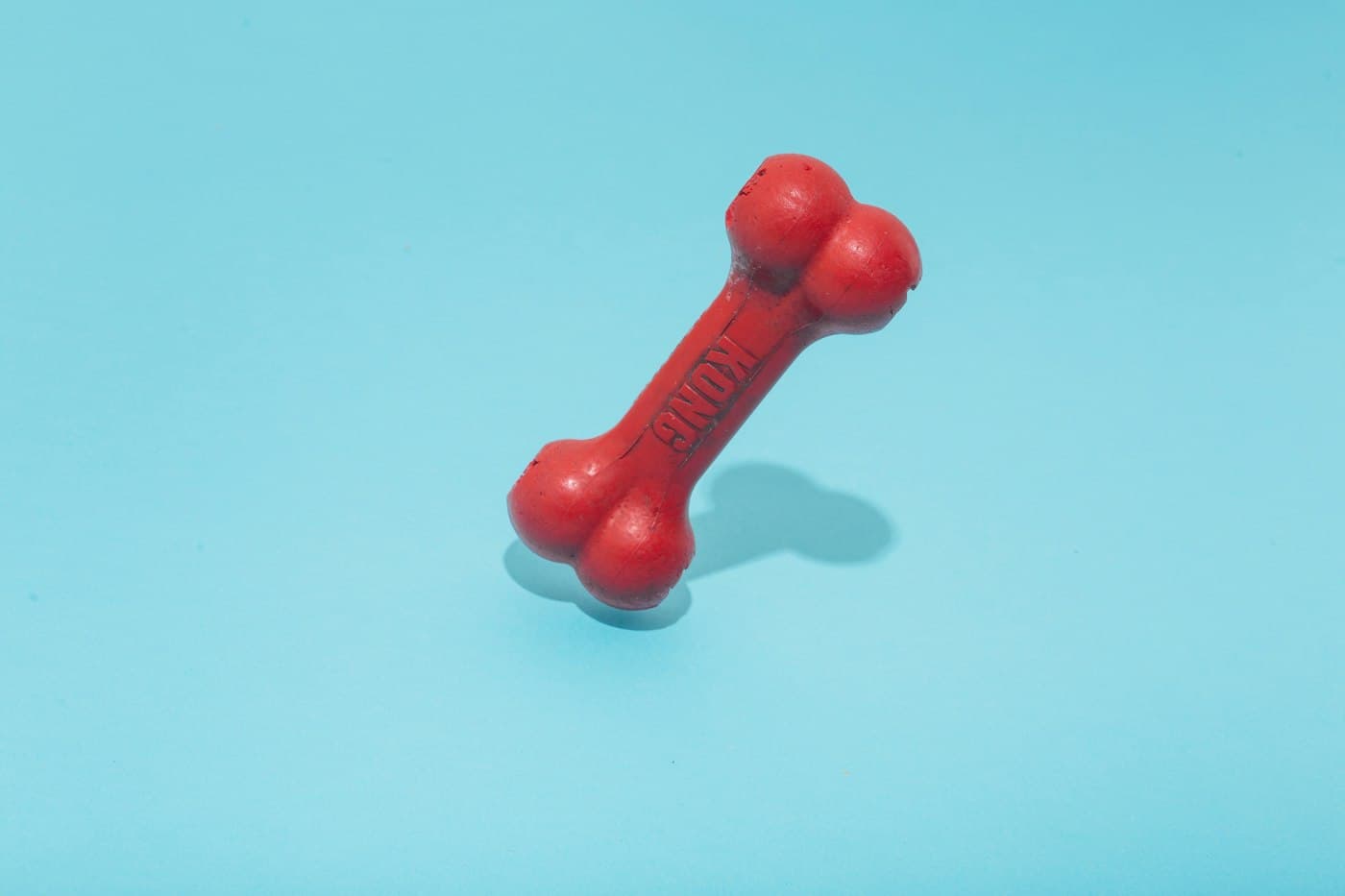 A red rubber chew toy on a teal background